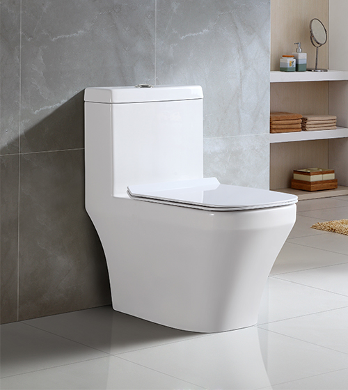 Toilet seat