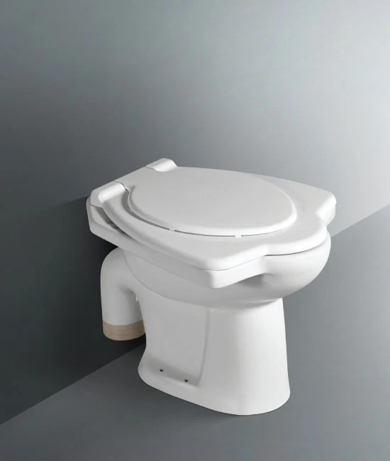 Toilet seat